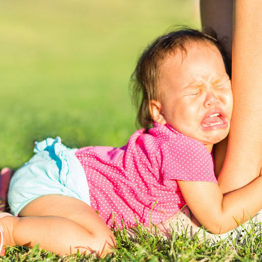 5 Tips for Dealing with Toddler Meltdowns: Nurturing Yourself and Your Little One - Fancy Nursery